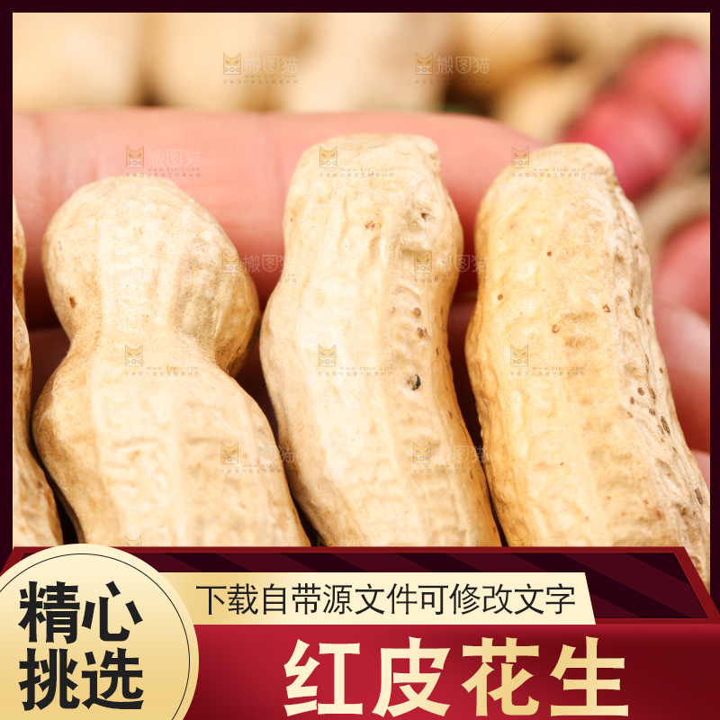 手拿新鲜红皮花生