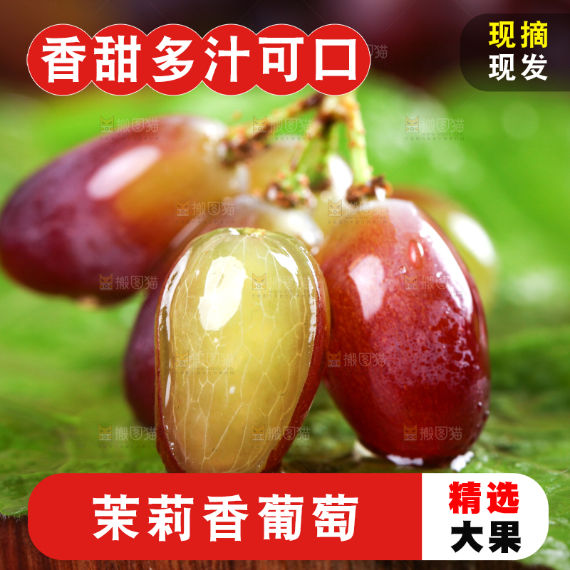 叶子上放着茉莉香葡萄