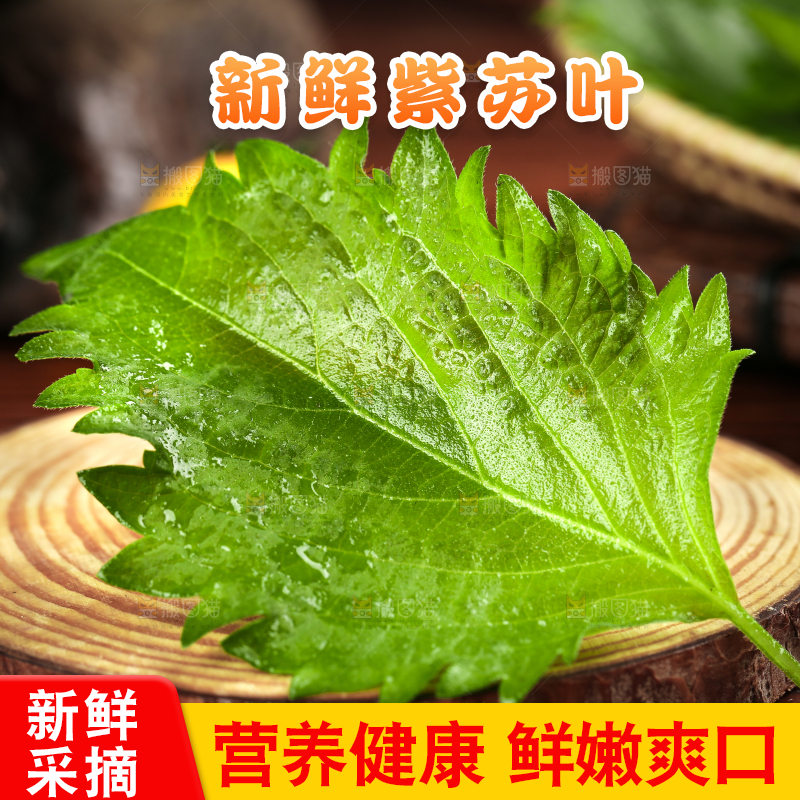 木板上的青紫苏叶
