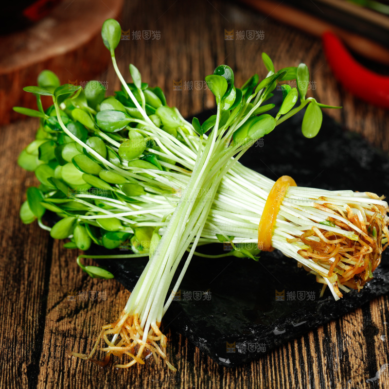 黑石板上的香椿苗
