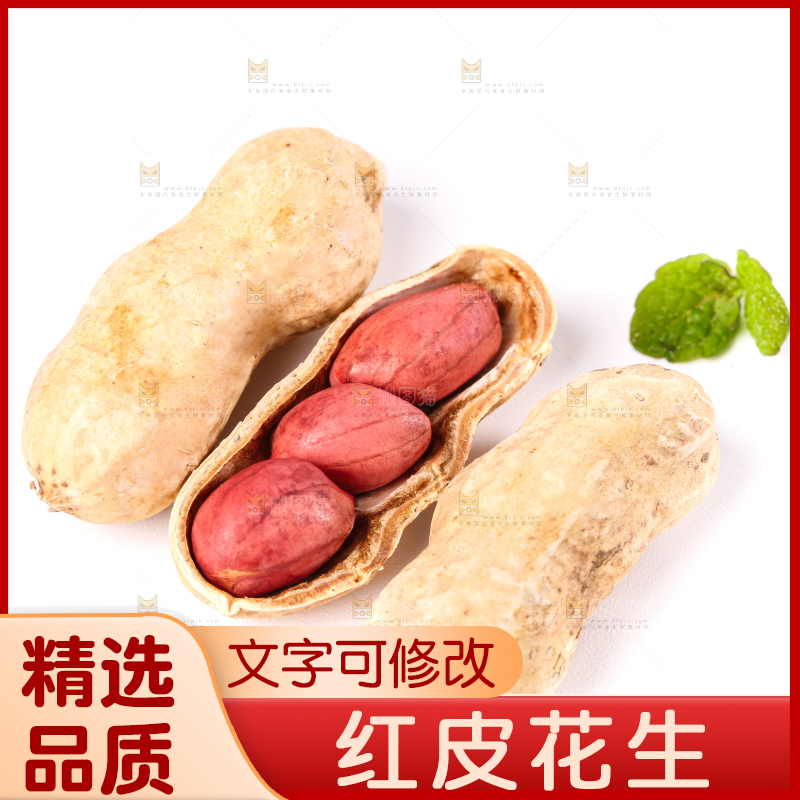 东北红皮花生放在白底上