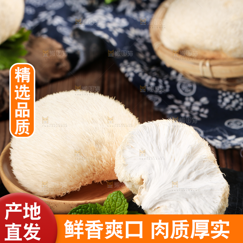 黑石板上的东北猴头菇