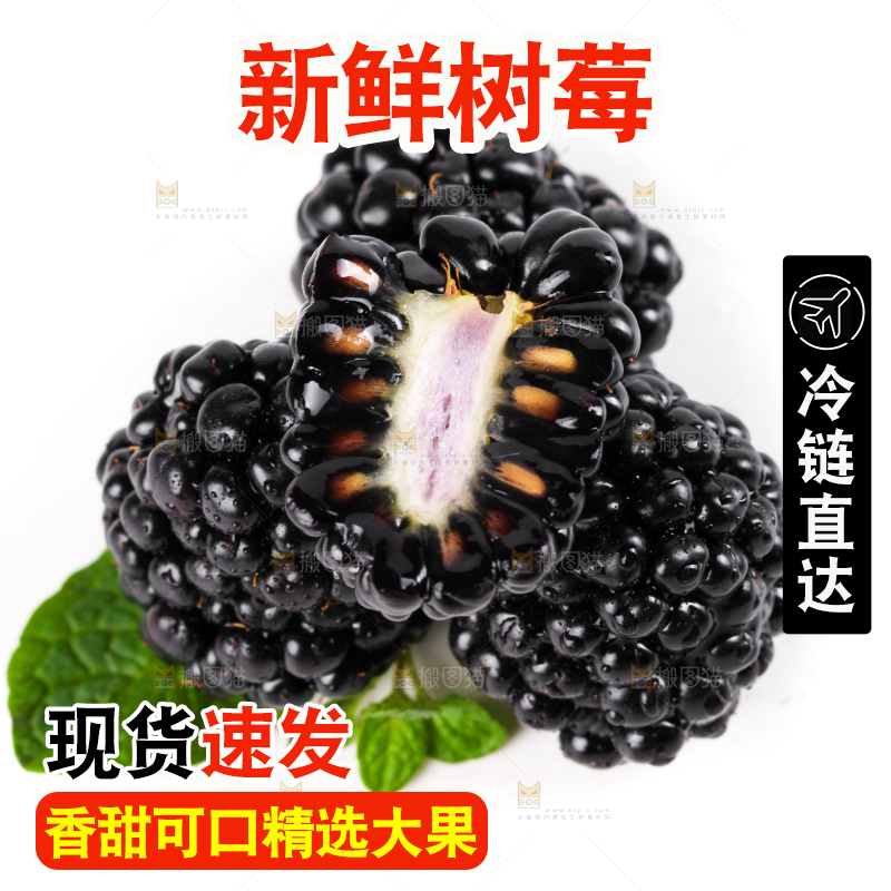 白底上切开的黑树莓