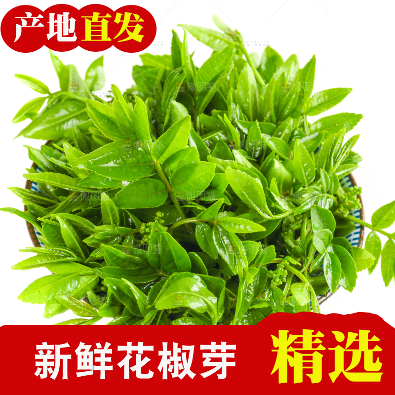 一碗花椒叶放在白底上