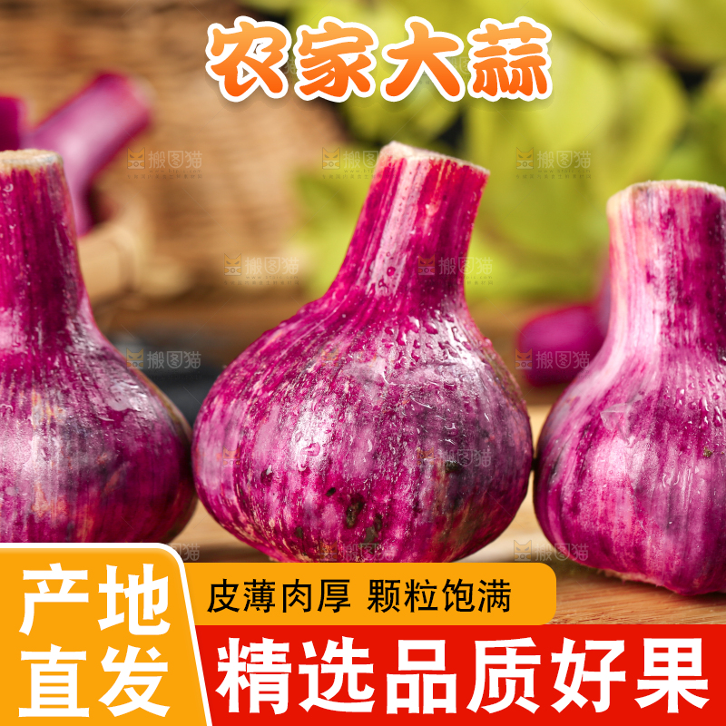 木板上摆放着云南紫皮多瓣蒜