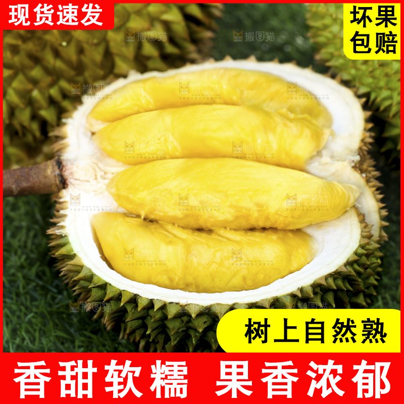 草地上摆放着甲仑榴莲