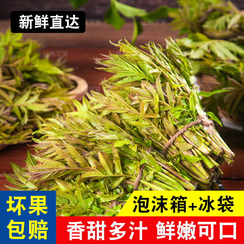 黑石板放着新鲜红香椿