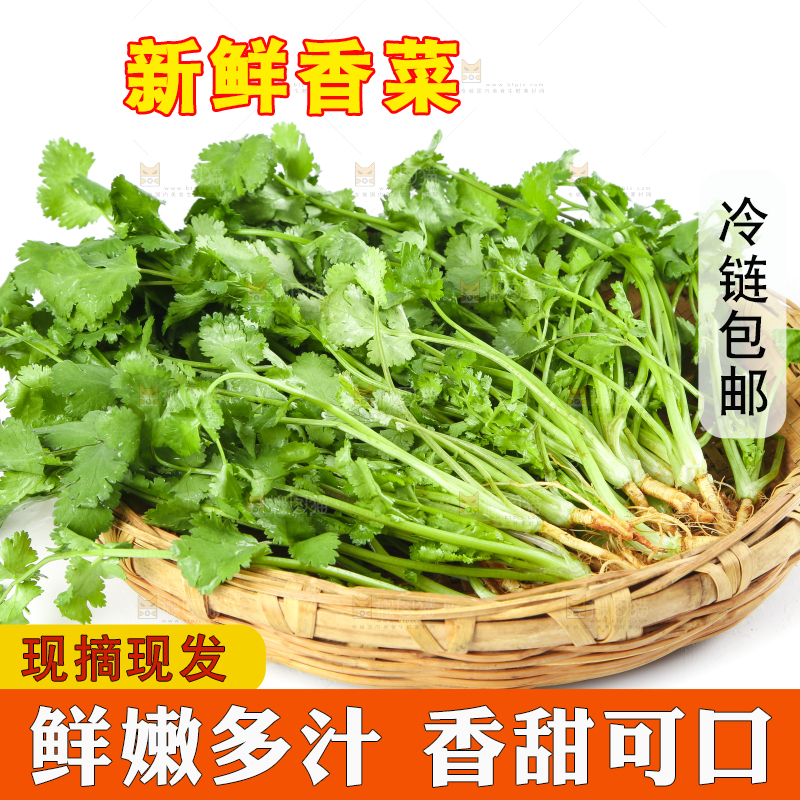 白底上放着一筐农家香菜
