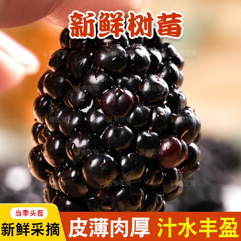 手拿黑树莓