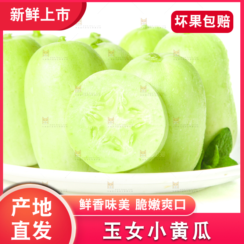 一盘迷你小黄瓜放在白底上