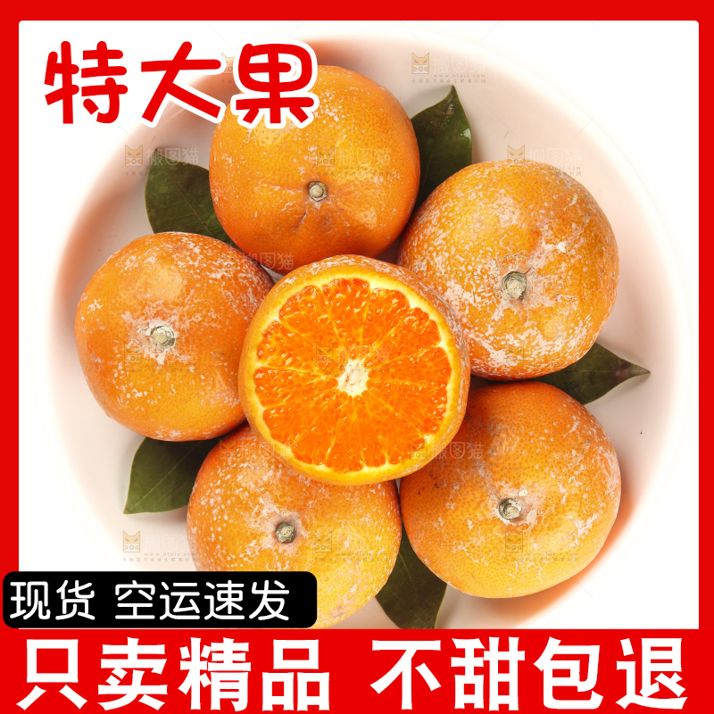 白底上的新鲜茂谷柑