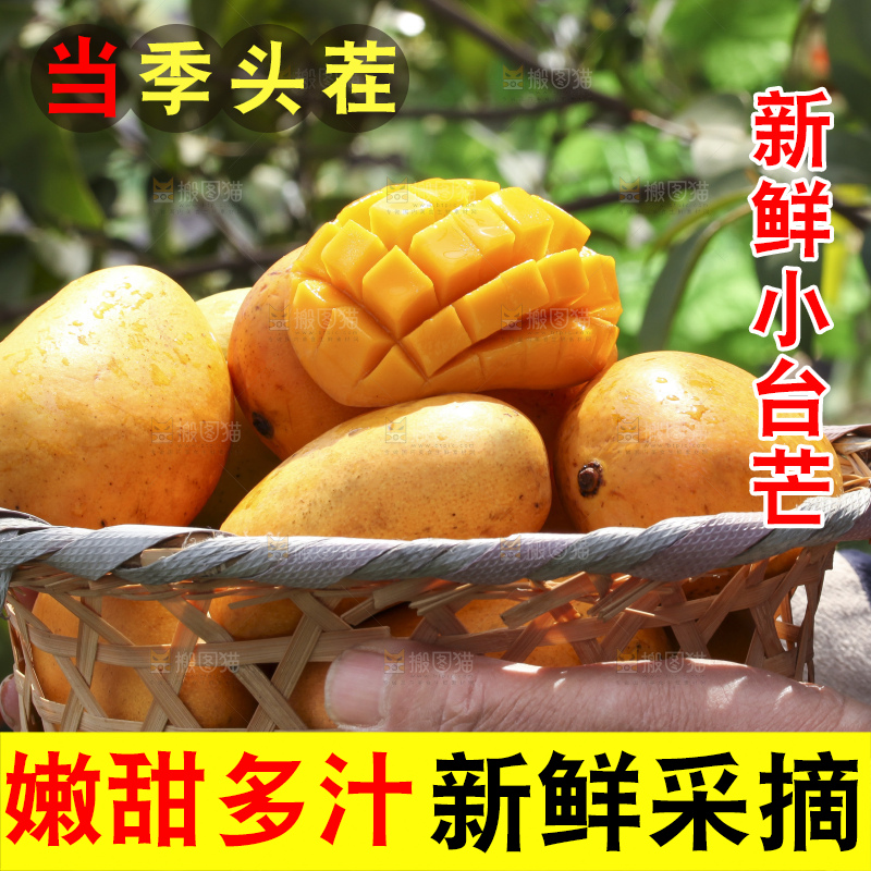 手拿一筐广西小台芒