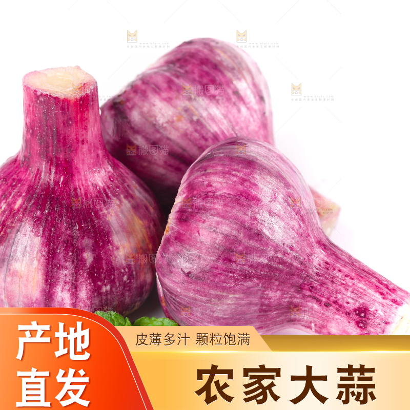 白底上放着紫皮大蒜
