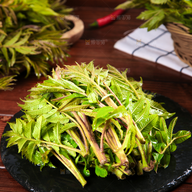黑石板上的山东香椿芽