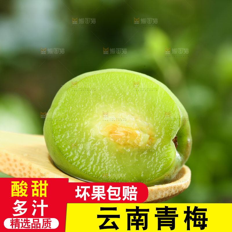 勺子里装着新鲜青梅