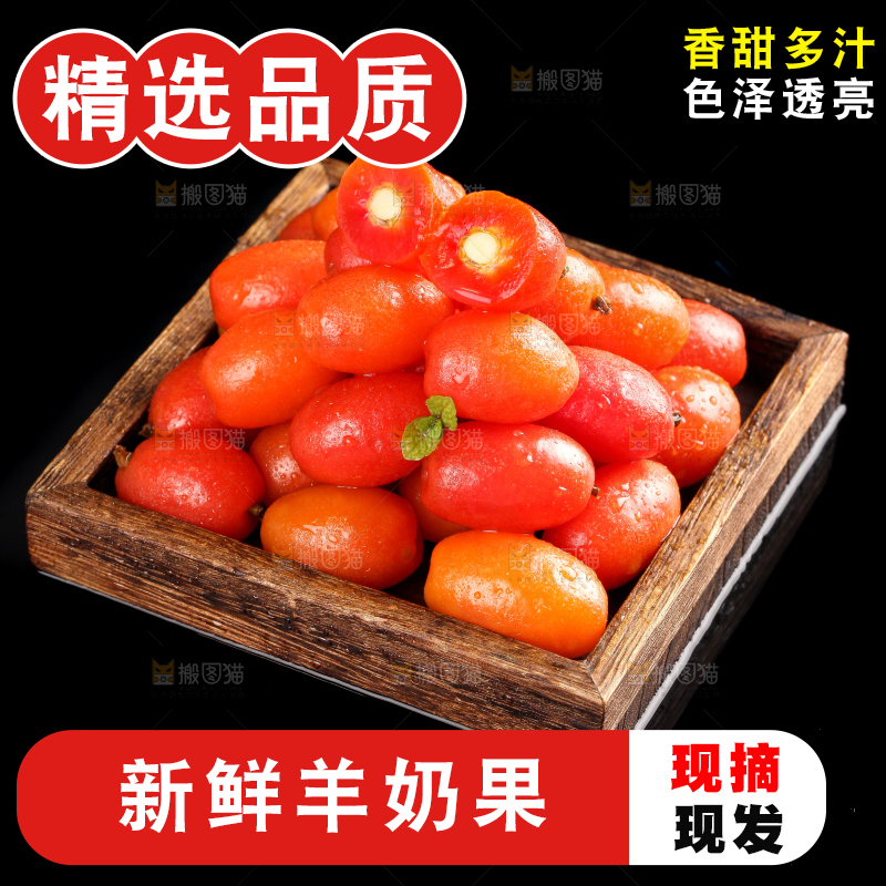 一盘野生羊奶果放在黑底上