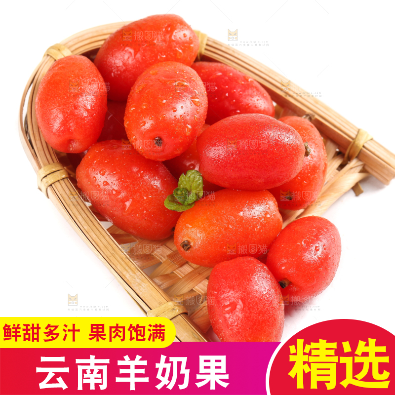 白底上放着野生羊奶果