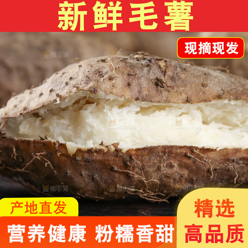 深底上放着熟的广东毛薯