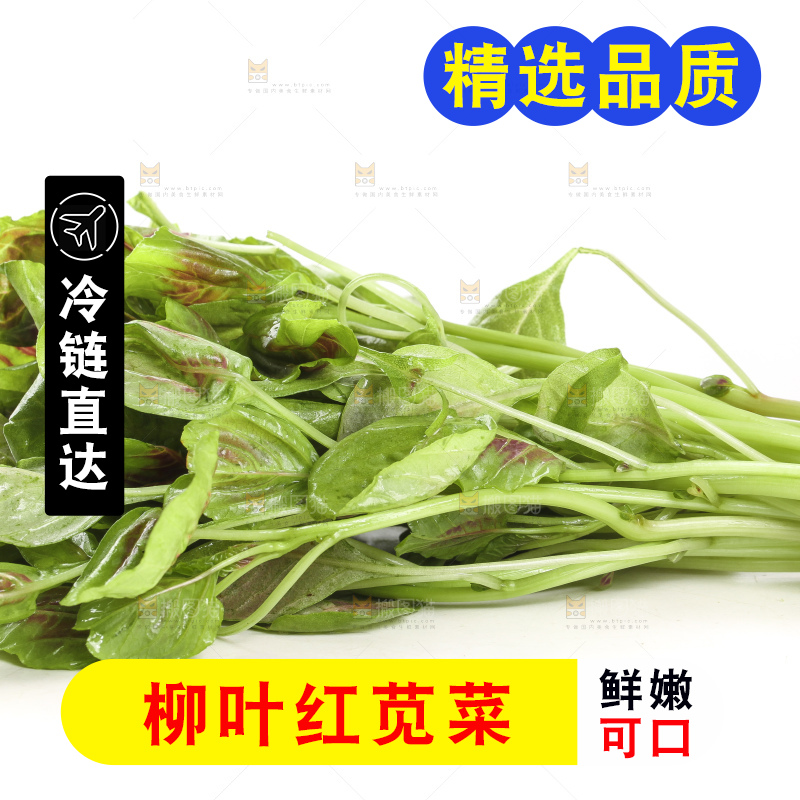 白底上的农家苋菜
