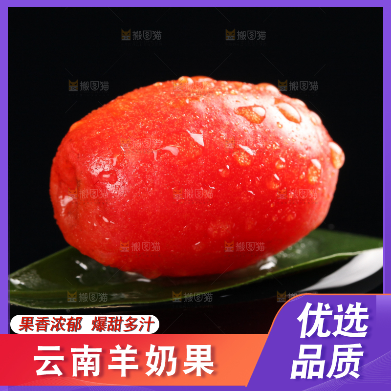 树叶上的羊奶果