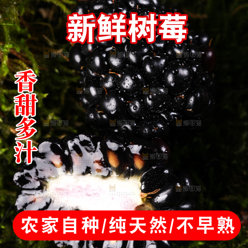 切开的黑树莓放在草地上