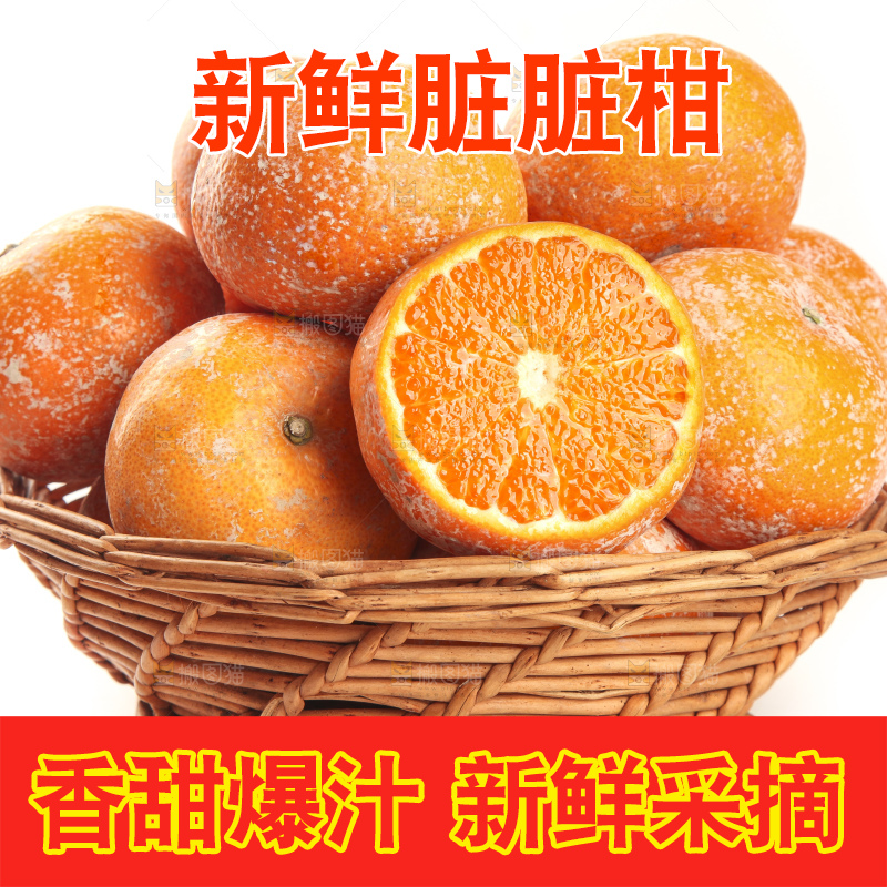 白底上放着一筐广西武鸣茂谷柑