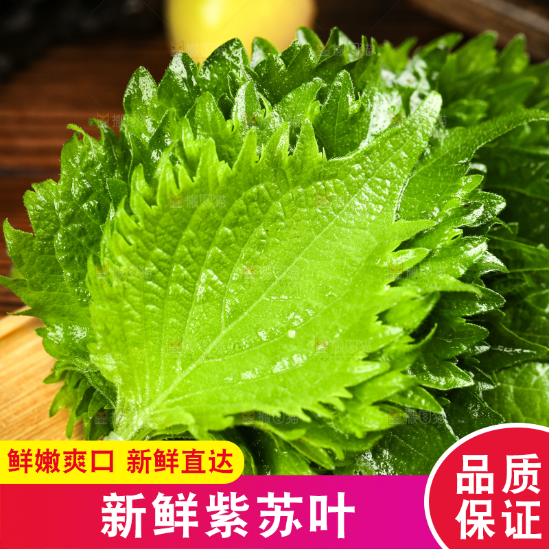 木底上的新鲜紫苏叶