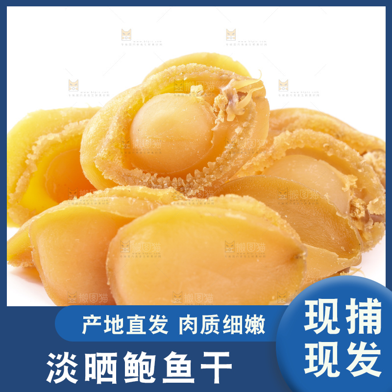 干鲍鱼放在白底上
