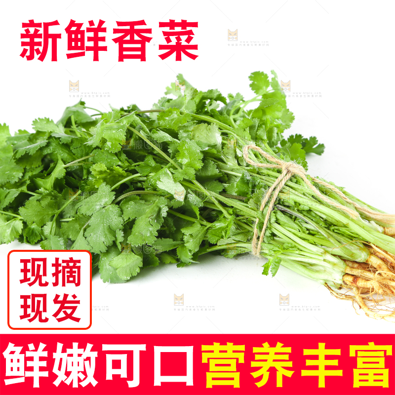白底上放着一捆农家香菜