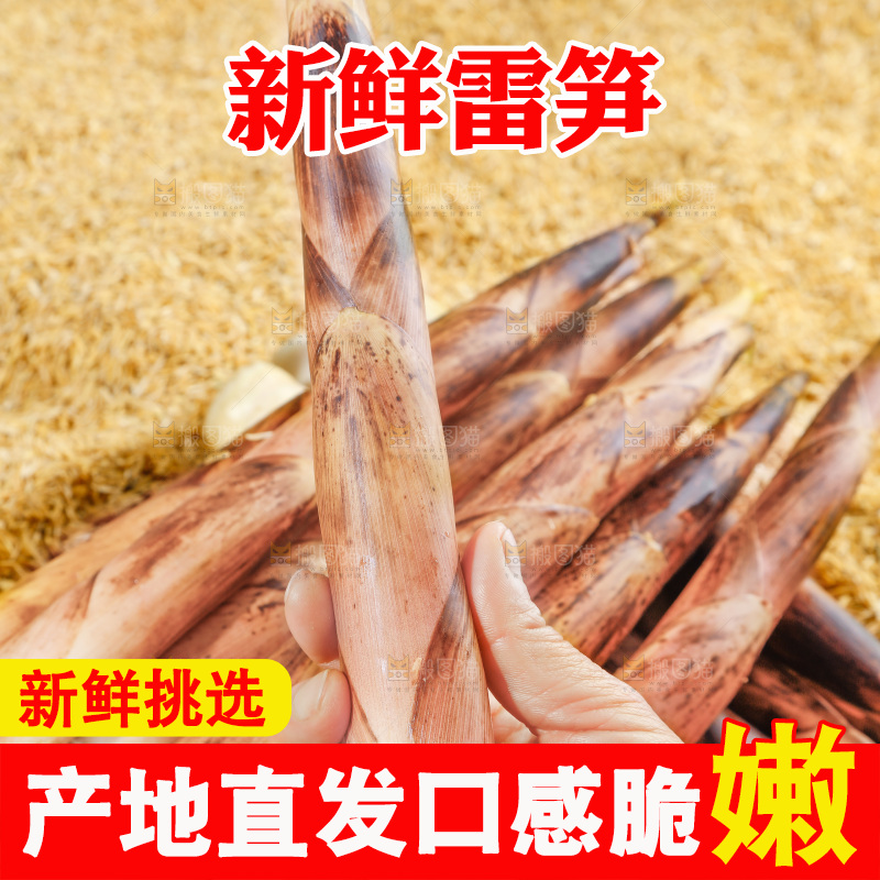 手拿雷笋