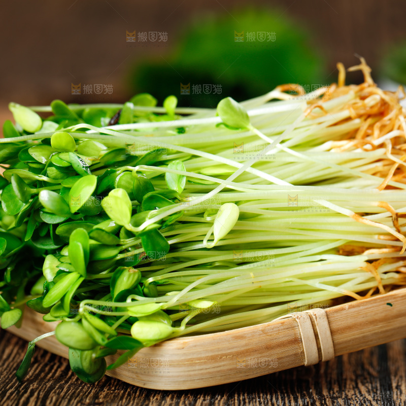 木底上放着一盘香椿苗芽