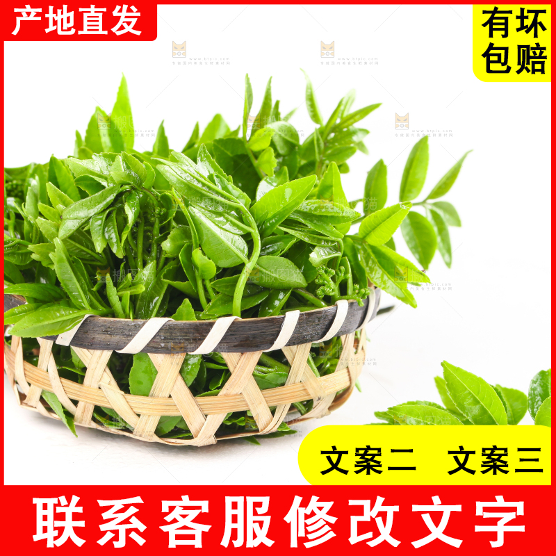 一筐野生花椒芽放在白底上
