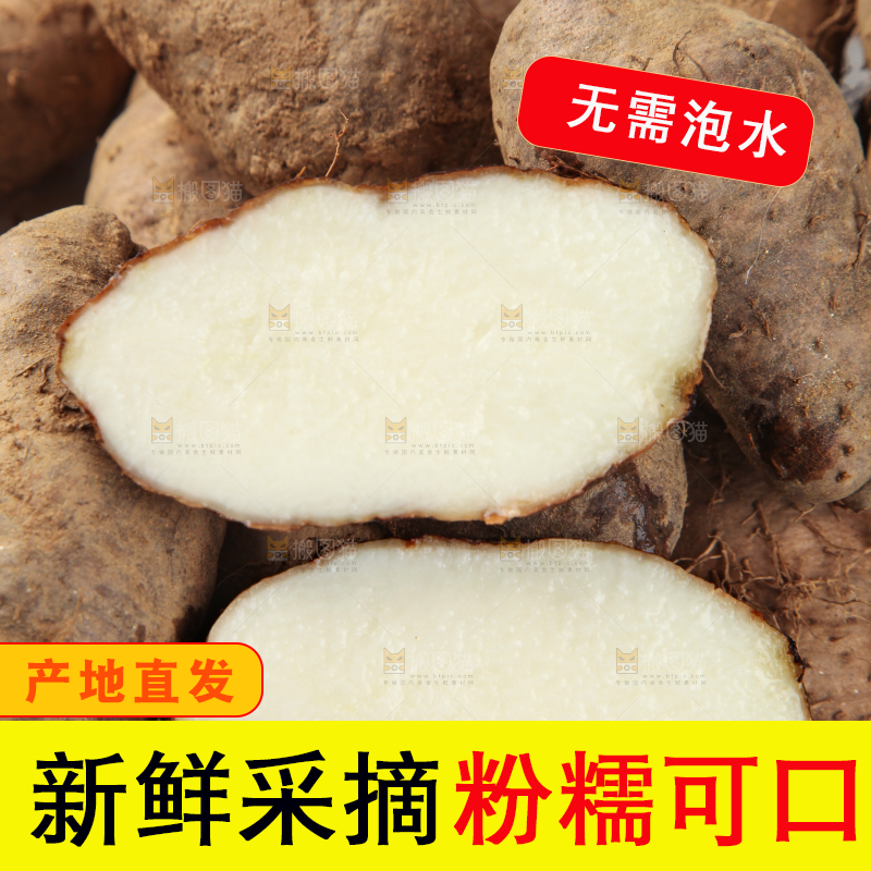 白底上切开的海南新鲜毛薯