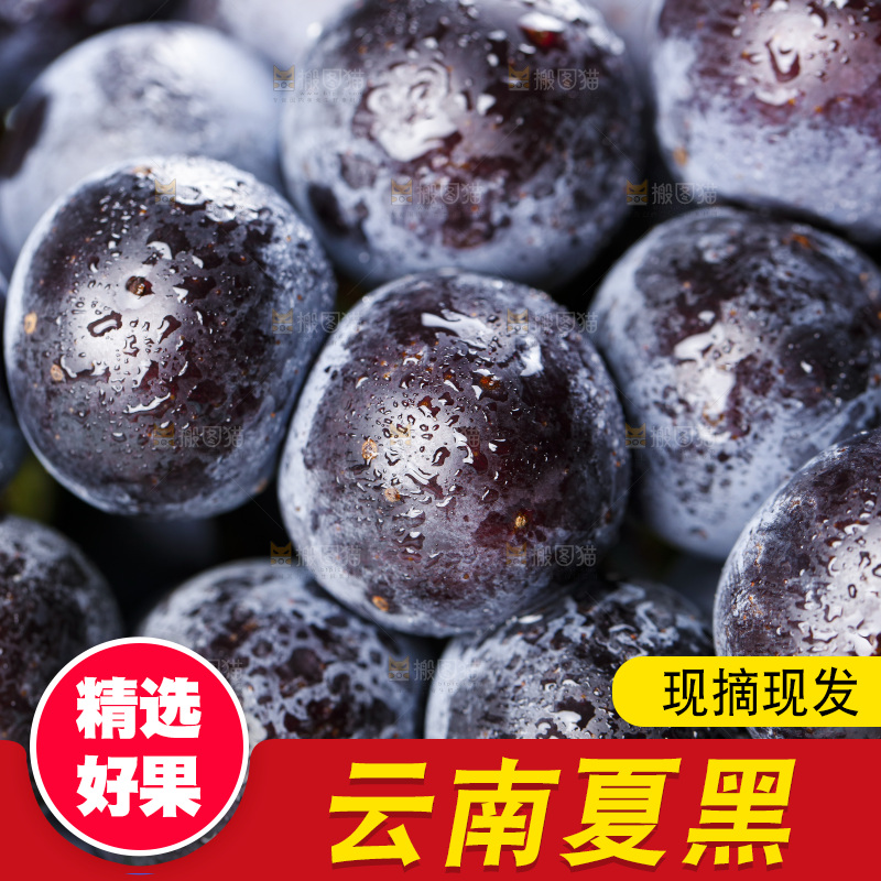 浅底上的黑葡萄