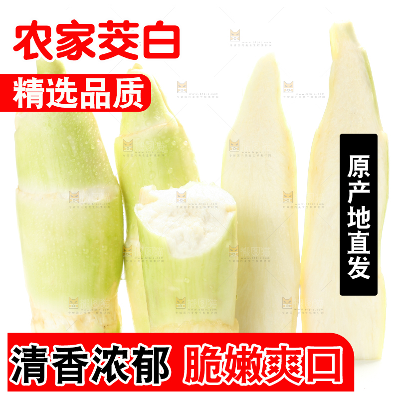白底上的茭白