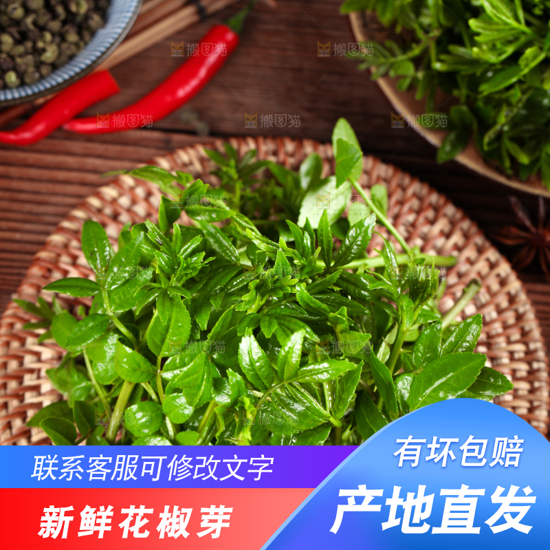木底上的麻香花椒芽