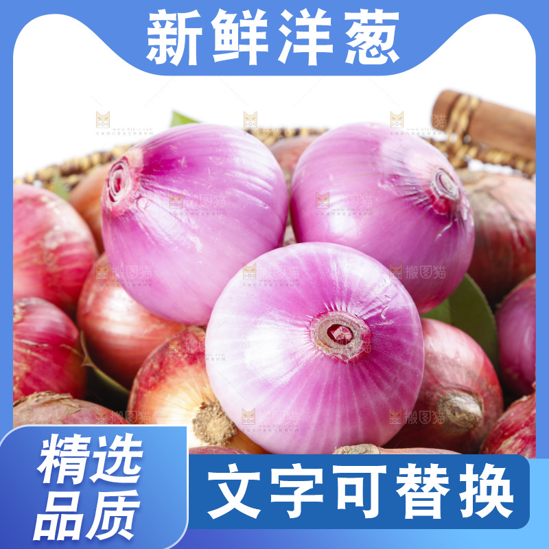 篮子里的新鲜洋葱