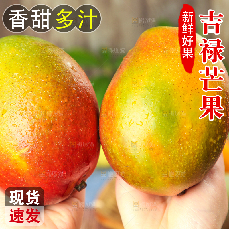 手里拿着吉禄芒果