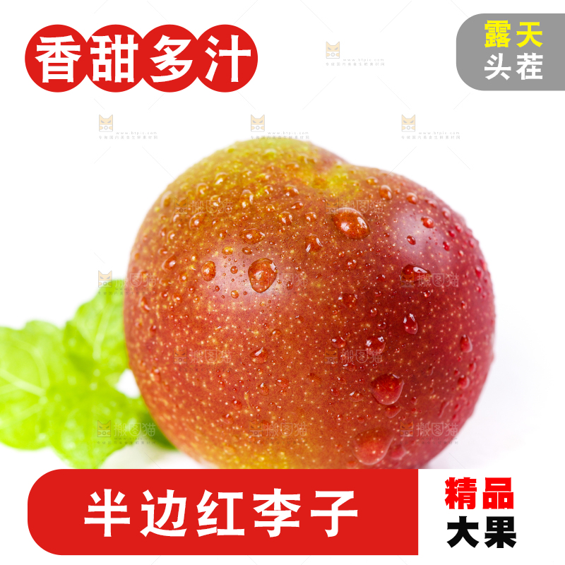 白底上的青红脆李