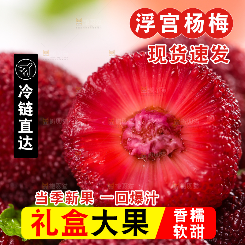 杨梅