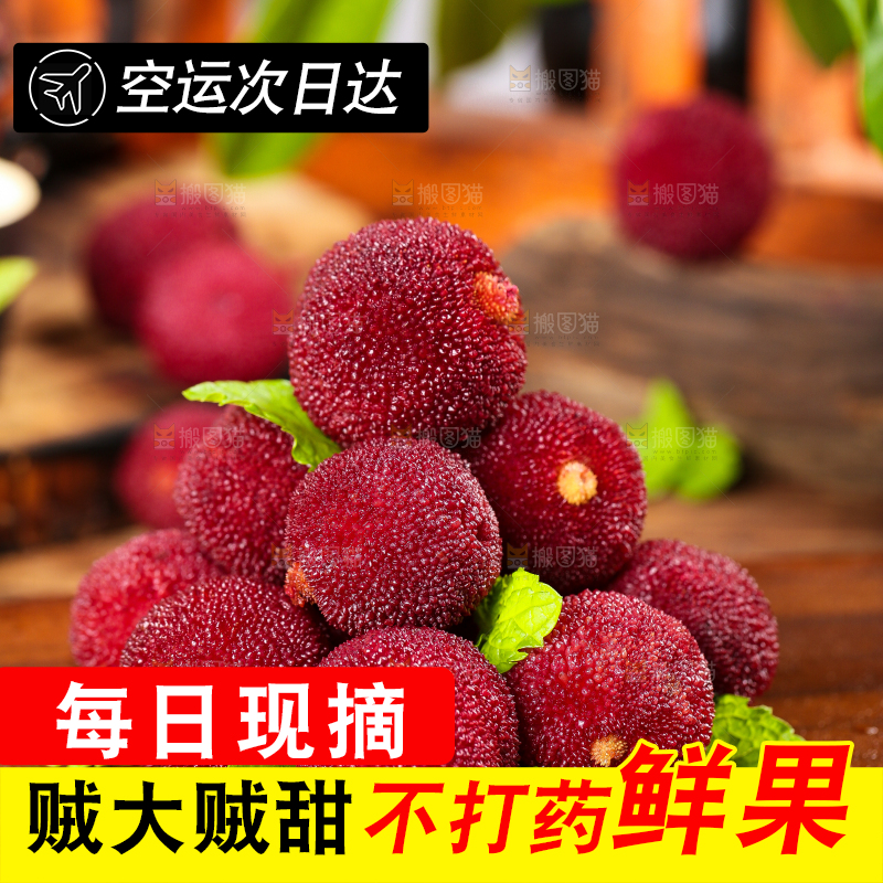 木板上的高山大杨梅
