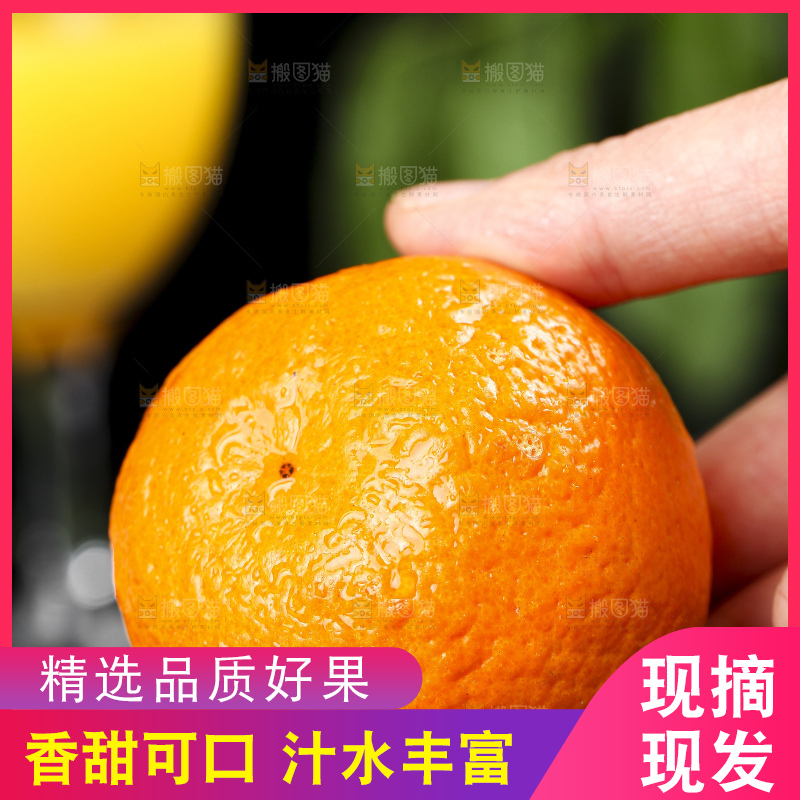 手里拿着椪柑橘