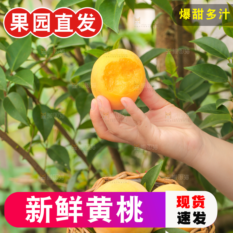 篮子里装着黄肉毛桃