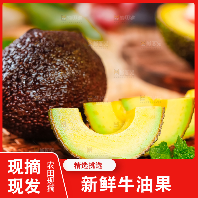 浅底上的巨无霸牛油果