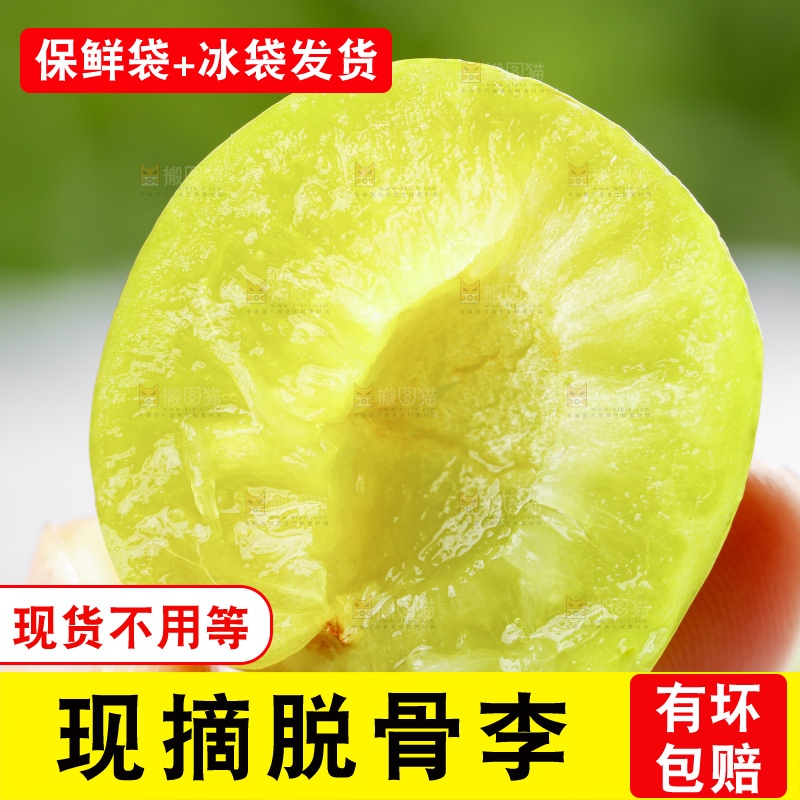 浅底上放着脱骨李