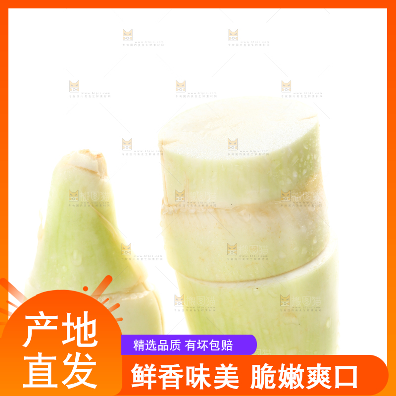 白底上的茭白