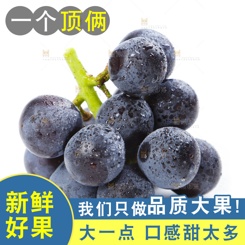 白底上的巨峰葡萄