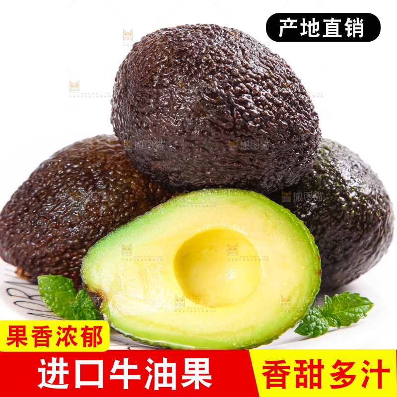 白底上的墨西哥牛油果