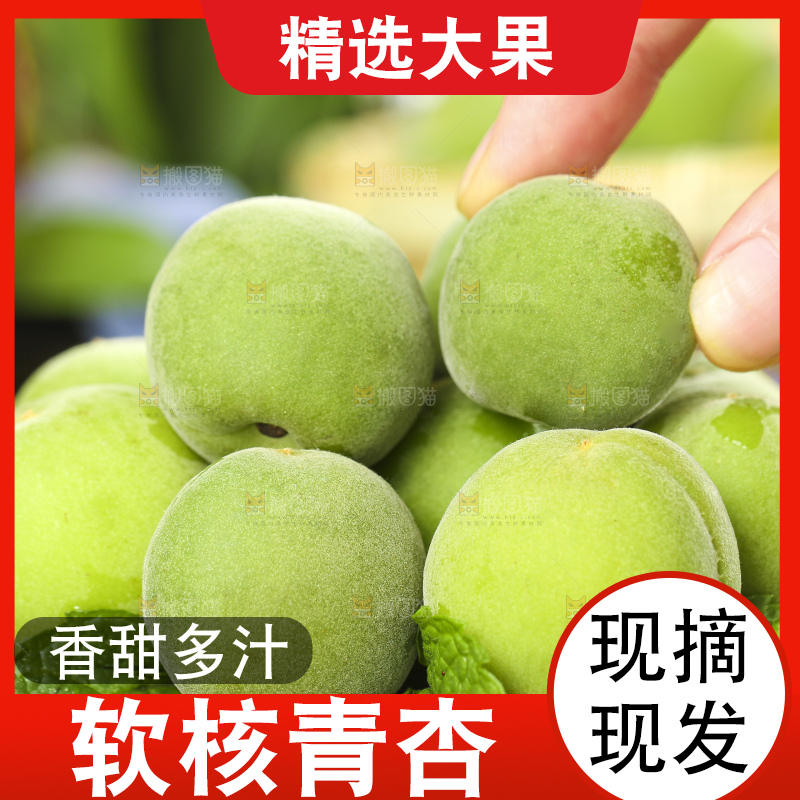手里拿着脆酸青杏