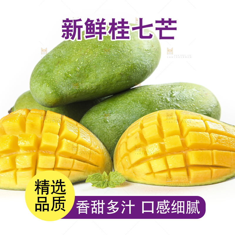 白底上的桂七香芒